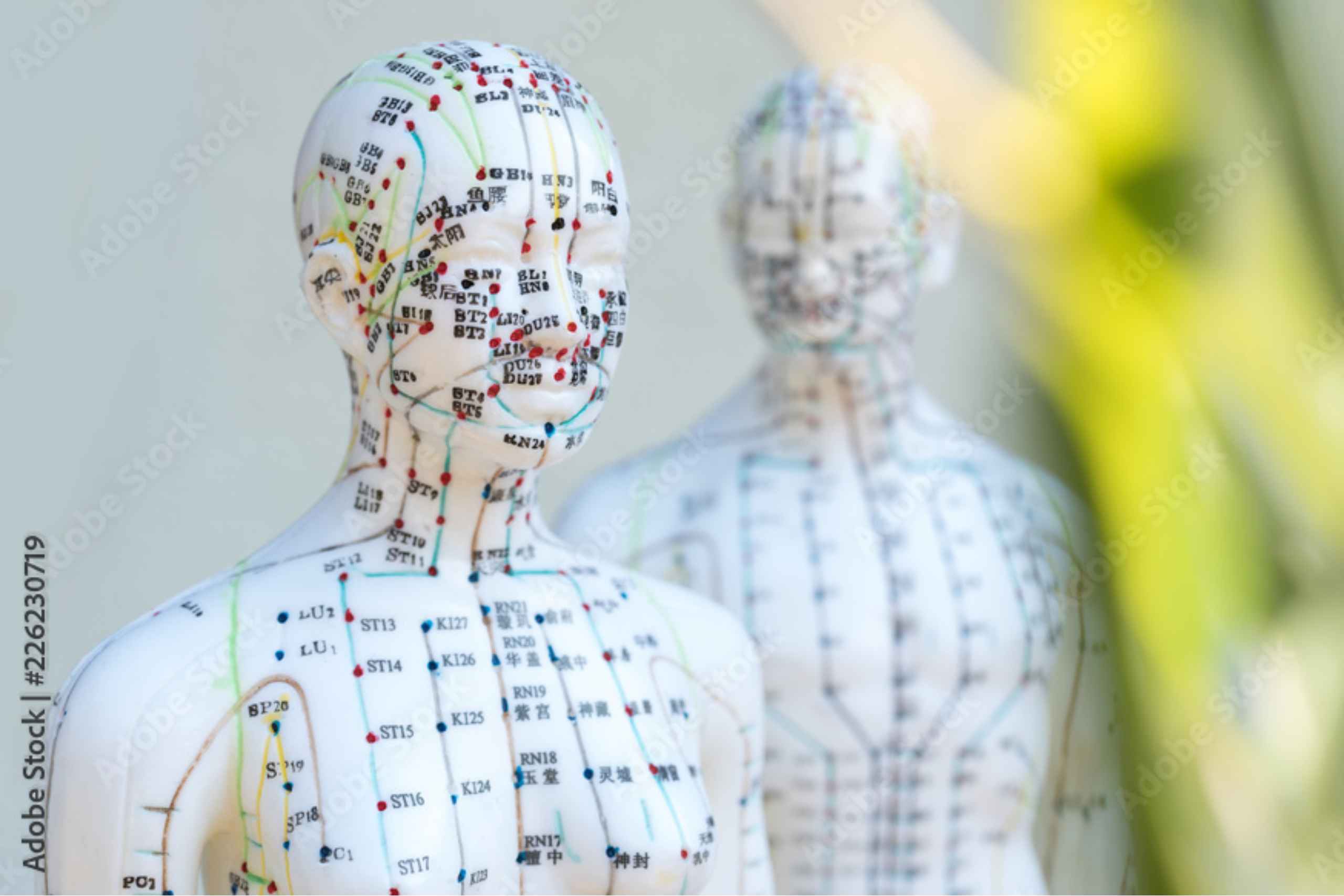 Sektoraler Heilpraktiker im Bereich Physiotherapie